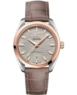 Omega - Seamaster Aqua Terra Watches - 220.23.38.20.06.001