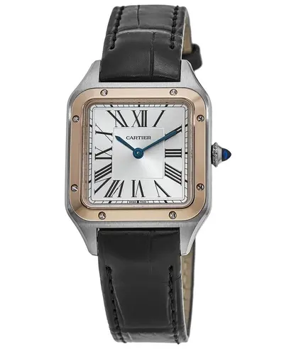 Cartier Santos Dumont Small Women's Watch w2sa0012, Model W2SA0012 (arb12913)