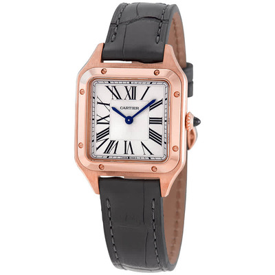 Cartier Santos-Dumont WGSA0022 - Elegant Ladies Watch (black, arb2586)
