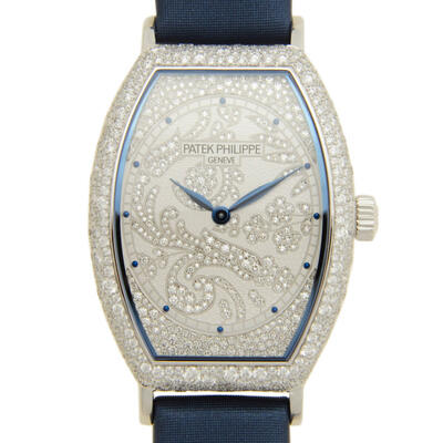 Patek Philippe Mens Watch 7099G-001 (blue, arb4982)