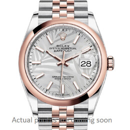 Rolex - Datejust 36 Watches - 126201SSPLMJ