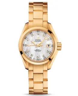 Omega - Seamaster Aqua Terra Watches - 231.50.30.20.55.002