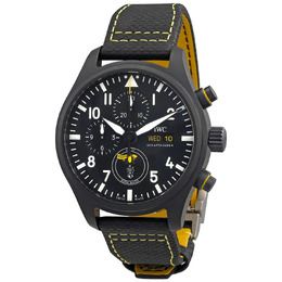 IWC - Pilot's Watches - IW389107