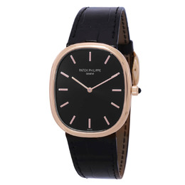 Patek Philippe - Golden Ellipse Watches - 5738R-001