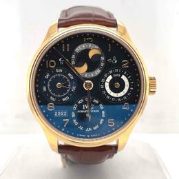 IWC - Watches - IW502119