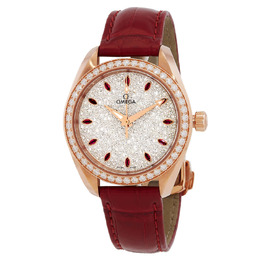 Omega - Seamaster Aqua Terra Watches - 220.58.34.20.99.001