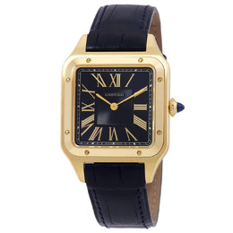 Cartier - Santos Watches - WGSA0115