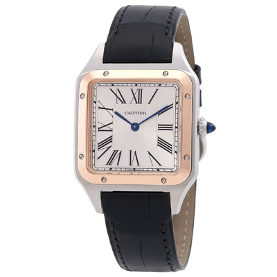 Cartier Santos Dumont Large Model W2SA0037 Silver Dial Watch (black, arb1969)