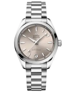 Omega - Seamaster Aqua Terra Watches - 220.10.34.20.09.001