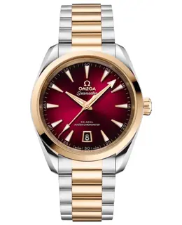 Omega - Seamaster Aqua Terra Watches - 220.20.38.20.10.002