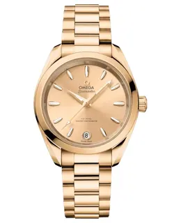 Omega - Seamaster Aqua Terra Watches - 220.50.34.20.08.001