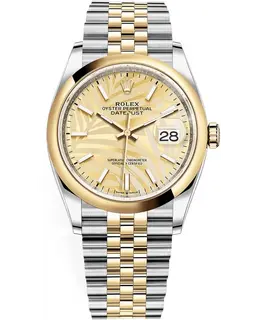 Rolex - Datejust 36 Watches - M126203-0037