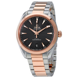 Omega - Seamaster Aqua Terra Watches - 220.20.41.21.06.001