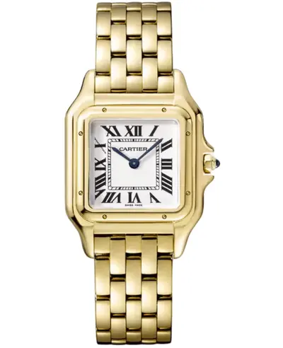 Cartier Panthere de Cartier Medium Silver Dial Women's Watch WGPN0045 (arb23365)