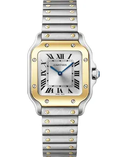 Cartier - Santos Watches - WSSA0033