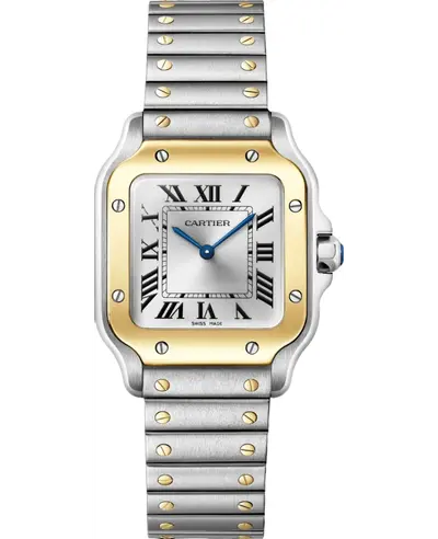 Cartier Santos De Cartier WSSA0033 - Luxury Watch in 18K Yellow Gold & Steel with Silver Dial (arb23379)
