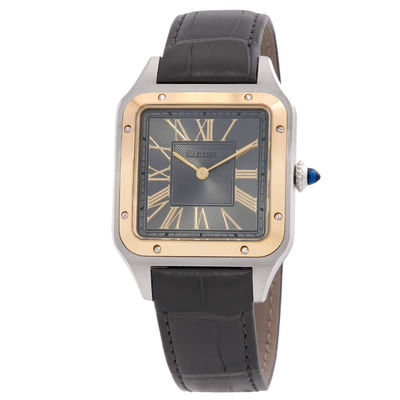 Cartier Santos-Dumon W2SA0036 Grey Dial Watch (arb24313)