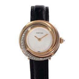 Cartier - Watches - WG200141