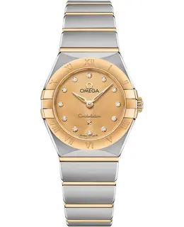 Omega - Constellation Watches - 131.20.25.60.58.001