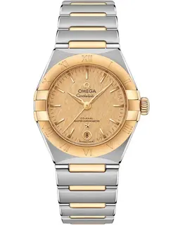Omega - Constellation Watches - 131.20.29.20.08.001