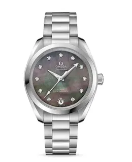 Omega - Seamaster Aqua Terra Watches - 220.10.34.20.57.001