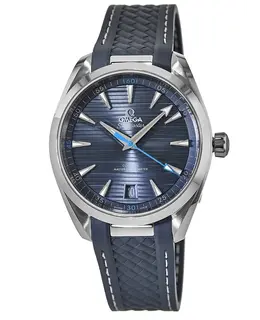 Omega - Seamaster Aqua Terra Watches - 220.12.41.21.03.002