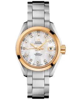 Omega - Seamaster Aqua Terra Watches - 231.20.30.20.55.004
