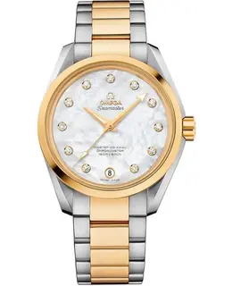Omega - Seamaster Aqua Terra Watches - 231.20.39.21.55.004