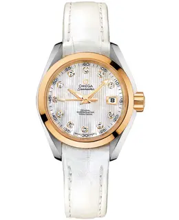Omega - Seamaster Aqua Terra Watches - 231.23.30.20.55.002
