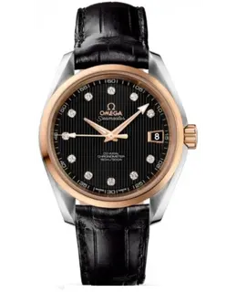 Omega - Seamaster Aqua Terra Watches - 231.23.39.21.51.001