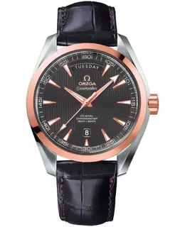 Omega - Seamaster Aqua Terra Watches - 231.23.42.22.06.001