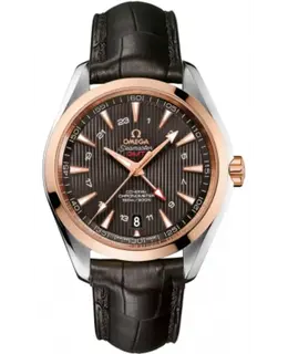 Omega - Seamaster Aqua Terra Watches - 231.23.43.22.06.001