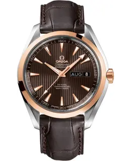 Omega - Seamaster Aqua Terra Watches - 231.23.43.22.06.002