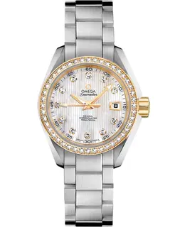 Omega - Seamaster Aqua Terra Watches - 231.25.30.20.55.004