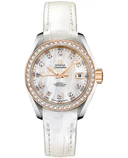 Omega - Seamaster Aqua Terra Watches - 231.28.30.20.55.001