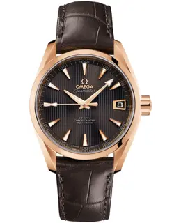 Omega - Seamaster Aqua Terra Watches - 231.53.39.21.06.001