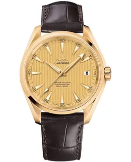 Omega - Seamaster Aqua Terra Watches - 231.53.42.21.08.001