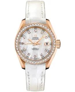 Omega - Seamaster Aqua Terra Watches - 231.58.30.20.55.001
