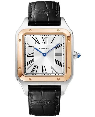 Cartier Santos Dumont Extra Large Watch Model w2sa0017 (arb12915)